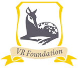 VR Foundation